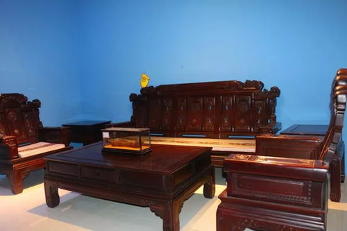 便宜到哭 從廣東來(lái)了一批家具,濮陽(yáng)人要搶瘋啦
